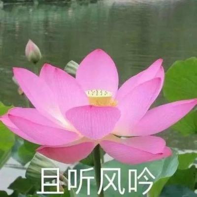 人民网评：从“强基础”到“练内功”持续抓好长江禁渔